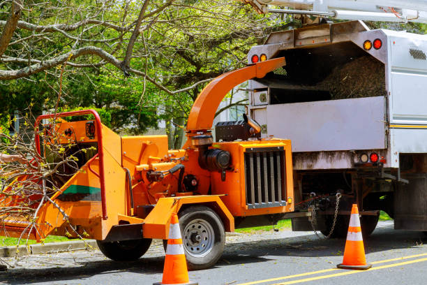 Mulching Services in Fort Leonard Wood, MO