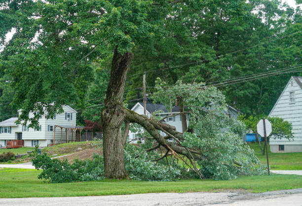 Best Utility Line Clearance  in Fort Leonard Wood, MO